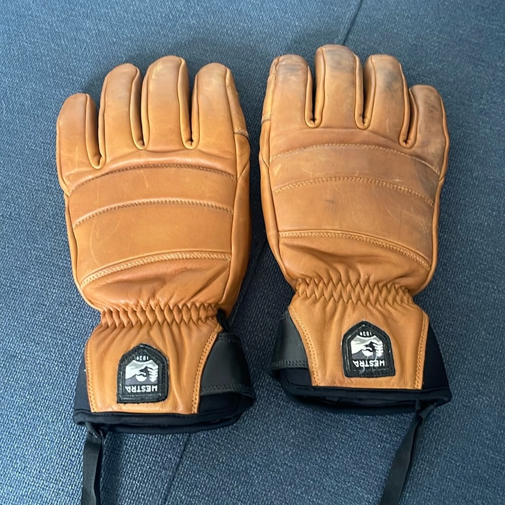 Hestra Ski Gloves